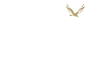 کیوان پرواز