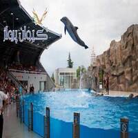 دلفیناریوم باتومی ( batumi dolphinarium )